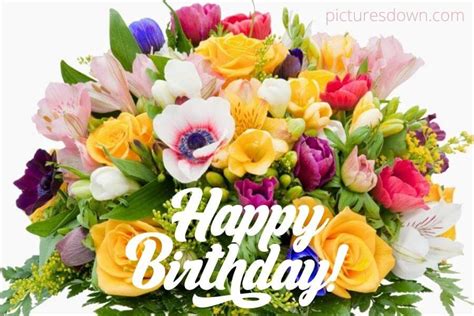 happy birthday bild blumen|60,000+ Free Happy Birthday Blumen & Happy Birthday Images